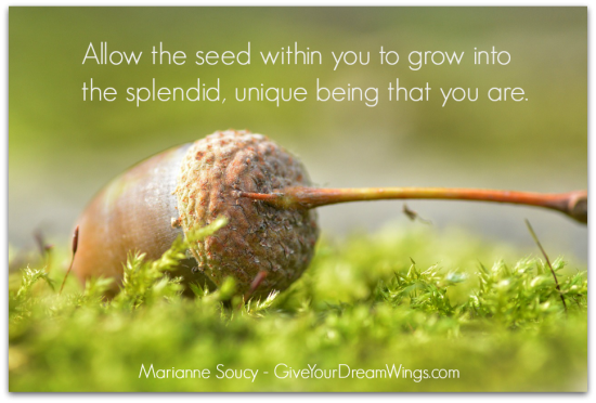 Acorn - Tree Wisdom - Marianne Soucy - Give Your Dream Wings - shadow txt