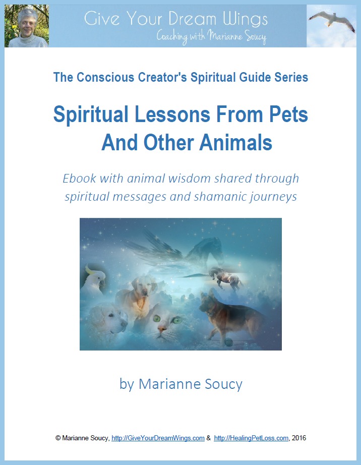 Spiritual Lessons From Pets And Other Animals