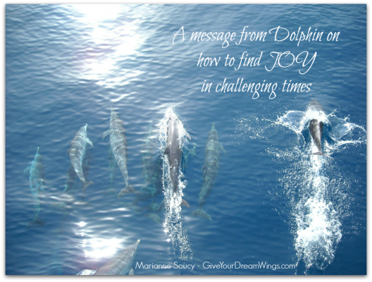 Dolphin message - Give Your Dream Wings - Marianne Soucy 940 sh