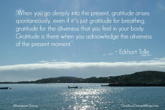 Eckhart Tolle Present Moment Gratitude quote - Marianne  Soucy - Give Your Dream Wings