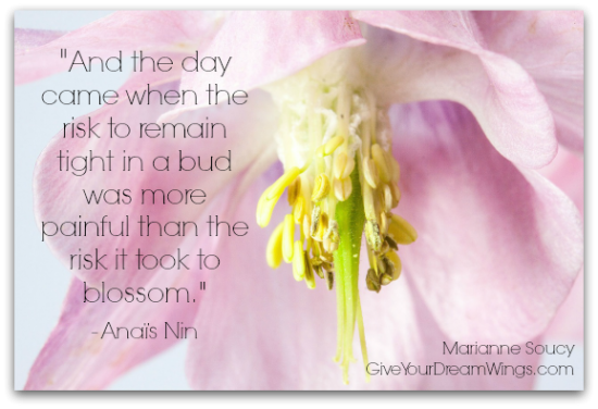 Give Your Dream Wings - Marianne Soucy - Anais Nin quote 2