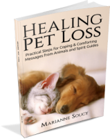 Healing Pet Loss 3D 250 x 315 hpl book cover