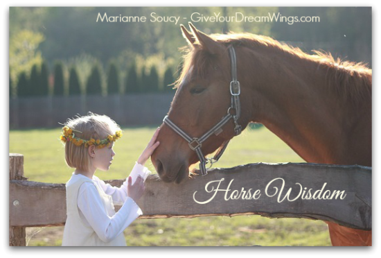 Horse Wisdom - Give Your Dream Wings - Marianne Soucy
