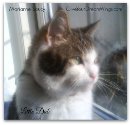 Little Dab -Marianne Soucy