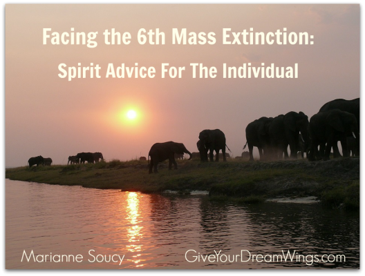 Mass Extinction - Spirit Advice - Marianne Soucy - Give Your Dream Wings 940 shadow