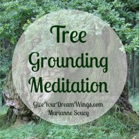 Tree Grounding Meditation txt 360