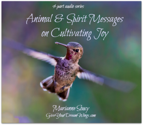 Animal and spirit messages on cultivating joy